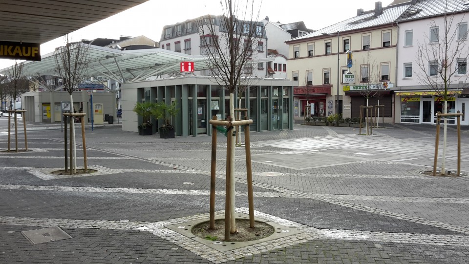 Das Foto zeigt einen Teil der neu gepflanzten Bäume auf dem Neuwieder Luisenplatz, vor der Tourist-Information, am Mini ZOB.